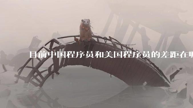目前中国程序员和美国程序员的差距在哪里？