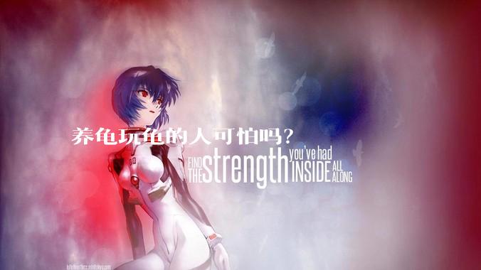 养龟玩龟的人可怕吗？
