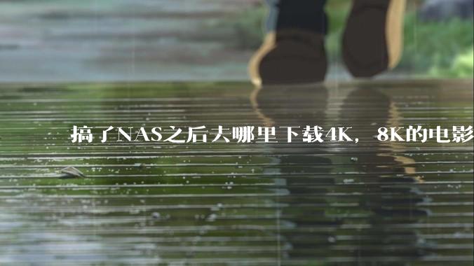 搞了NAS之后去哪里下载4K，8K的电影？
