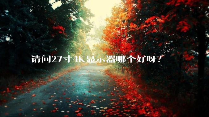 请问27寸4K显示器哪个好呀？