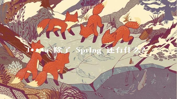 J***a 除了 Spring 还有什么？
