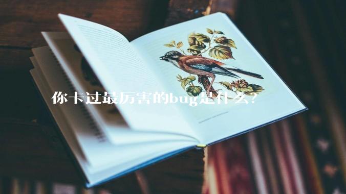 你卡过最厉害的bug是什么？