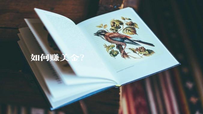 如何赚美金？